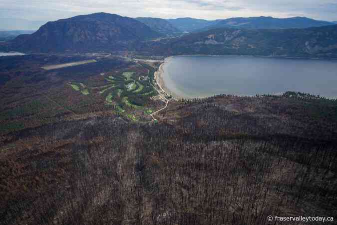 B.C. looks into post-fire mushroom picking rush after First Nation reports conflicts