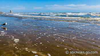 19-year-old speaks out after surviving shark attack in Texas