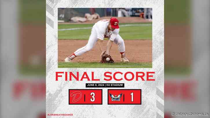 Dawgs bounce back on Saturday night in Sylvan Lake, defeating Gulls 3-1