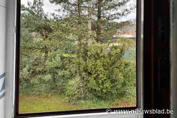 “Elke Genkenaar moet vanuit zijn slaapkamer drie bomen kunnen zien”