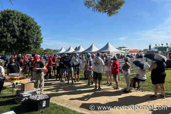 ‘I would have crawled here’: Hundreds line up for Trump rally amid heat wave