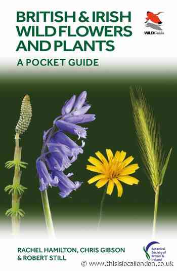 Wild Things: Pocket a floral delight