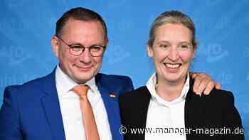 Europawahl 2024: Rechtsaußen-Parteien mit deutlichen Gewinnen