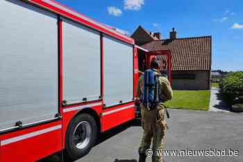 Grote rookpluim afkomstig van net opgestarte barbecue