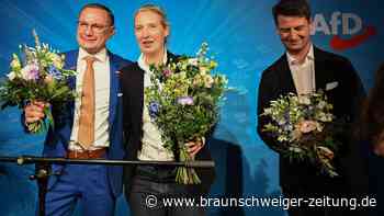 Reaktionen auf Europawahl: „Peinlich, schrecklich, asozial“