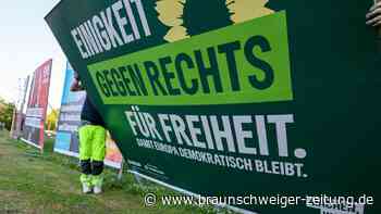 Grüne verlieren, AfD gewinnt: So reagieren Helmstedts Parteien