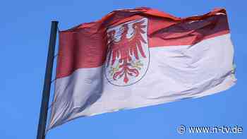 Erste Daten zur Kommunalwahl: AfD liegt in Brandenburg vorn