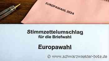 Europawahl in Calw: Fast zehn Prozentpunkte weniger für die Grünen