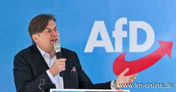 AfD bei der Europawahl 2024: Ergebnis, Kandidat, Wahlprogramm