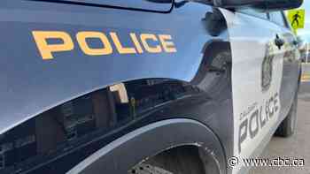 Victim identified in fatal stabbing in Forest Lawn