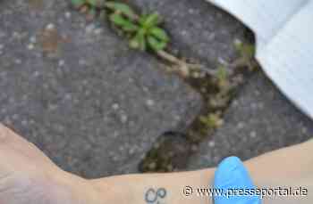 POL-SZ: Pressemitteilung der Polizeiinspektion SZ/PE/WF vom 09.06.2024. BILD IM ANHANG