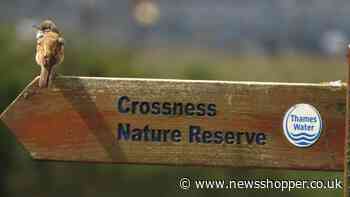 Crossness Nature Reserve Bexley campaign over decarbonisation plants