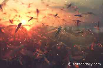 Revolutionary New Pest Control Tool Discovered by Johns Hopkins