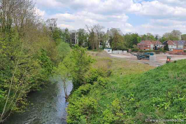 Prachtige natuur, maar (nog) niet gekend bij het grote publiek: drie nieuwe voetgangersbruggen moeten Zennepad aantrekkelijker maken
