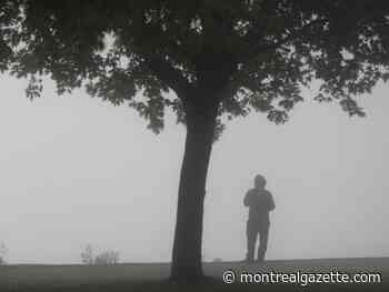 Montreal weather: Dreary and maybe a little drippy