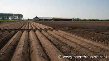 Week van de waarheid voor restant pootseizoen