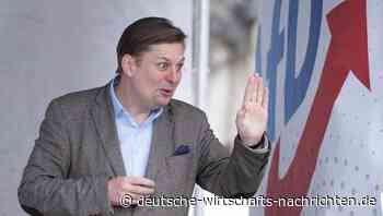 Maximilian Krah nicht Teil der neuen AfD-Delegation im Europaparlament