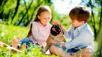 Insegnare ai bambini il rispetto per gli animali: ecco alcuni consigli