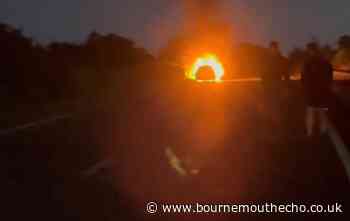 WATCH: Audi destroyed by fire on A31 dual carriageway