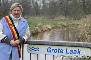 Tine Gielis (57) verovert zetel in de Kamer: “Er staat geen leeftijd op het volgen van je passie”