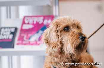 DeutscheVET überzeugt mit hochkarätigem Programm und Innovationen