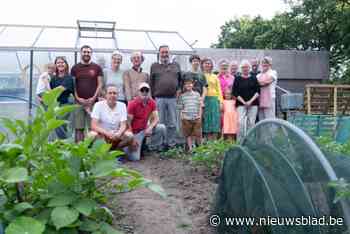 Buurtbewoners huren lap grond om er volkstuintjes van te maken: “Ook het sociaal contact is een meerwaarde”