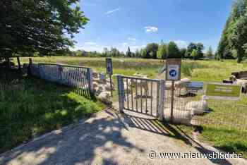 Schapenweide aan vlonderpad even gesloten: “Oproep om poortjes te sluiten”