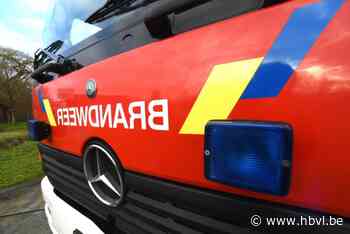 Vuilnisbakbrand in Maaseik