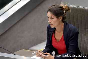 N-VA en Vlaams Belang rukken op in Brugge, maar hebben er geen stemmenkanon