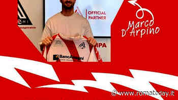 Marco D'Arpino - Anagni, ufficiale il rinnovo per un'altra stagione