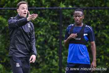 Vincent Euvrard hervat met FCV Dender als eerste eersteklasser de trainingen: “Klassement niet evenredig met het budget”