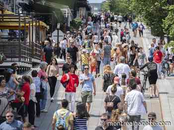 'Pedestrian priority zone': Changes to Old Montreal start this summer