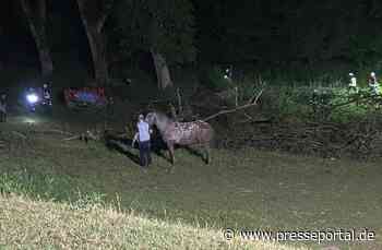 FW Borgentreich: Pferd musste von der Feuerwehr gerettet werden.