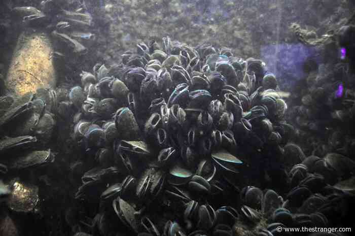 Slog AM: Blaze Burns Abandoned Building in ID, Careful of Toxic Clams in PNW, Microplastics Are (Probably) in Your Cum