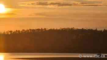 OPP search Quetico Provincial Park for canoeist from U.S. after boats capsize