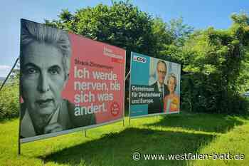 Europawahl: Parteienlandschaft verändert sich im Kreis Höxter