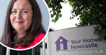 YHN tenants' survey reveals growing dissatisfaction as council prepares to take back 25,000 homes