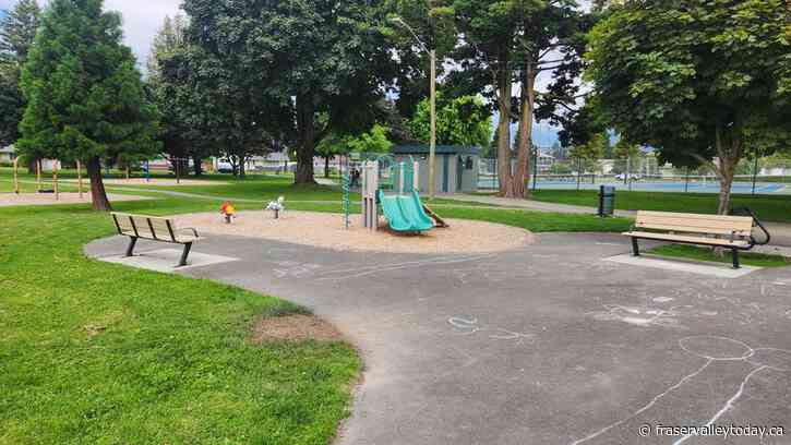 Chilliwack company gives up on Portage Park little library after it was vandalized and later burned