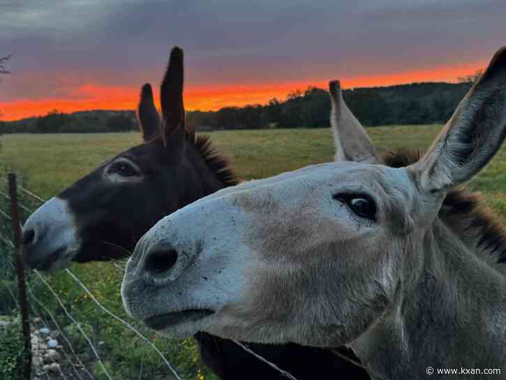 RESULTS: This is the best KXAN viewer photo of May 2024, as voted by you