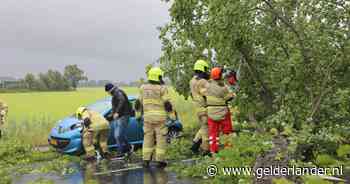 Bomen op de weg door harde wind: bestuurder auto mag van geluk spreken na ongeval