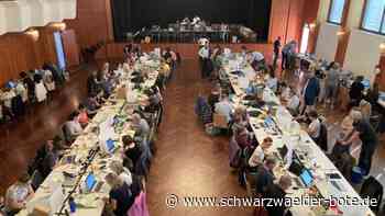 Alte Hasen und neue Gesichter im Gremium: Der Calwer Gemeinderat hat nun sieben Listen