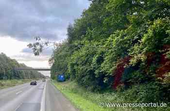 FW Alpen: Zwei Sturmeinsätze in Alpen