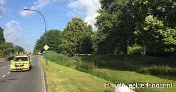 Zwaan Harry maakt weg ‘onveilig’, mannetje bewaakt eieren