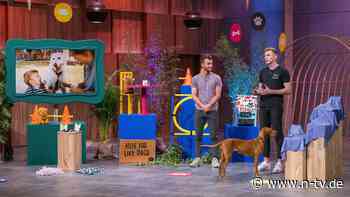 "Die Höhle der Löwen" - Finale: Raus, rein, Deal!