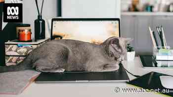 Tax time is fast approaching and the ATO has a warning to those with work from home claims