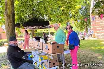Boekenwurmen flaneren op eerste Millegemse boekenmarkt die waarschijnlijk vervolg krijgt