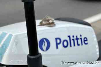 Tien rijbewijzen ingetrokken bij controles in PZ Beringen/Ham/Tessenderlo