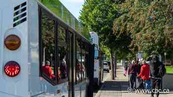 Collaborative approach need to address transit safety says Thunder Bay city councillor after incident