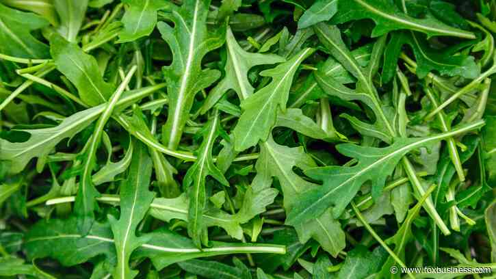 Arugula sold at major supermarket chain recalled over possible salmonella contamination