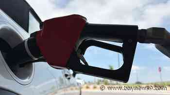 No change to Sunshine State's average gas prices